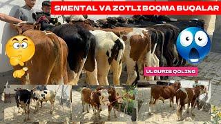 SMENTAL, VA ZOTLI BUQAR ARZON JOYIDAN