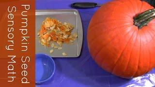 Pumpkin Seed Sensory Math For Preschool and Kindergarten