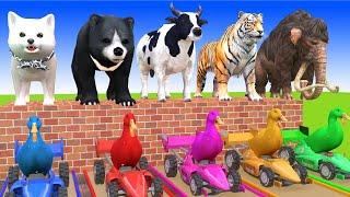 5 Giant Duck, Monkey, Piglet, chicken, dog, dinosaur, Hippo, Transfiguration funny animal 2023
