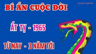 Tử Vi - Sự Thật Cuộc Đời - Ất Tỵ 1965 - Từ Nay Về 3 Năm Tới - Ơn Trên Để Mắt Giàu Khoẻ Rực Rỡ