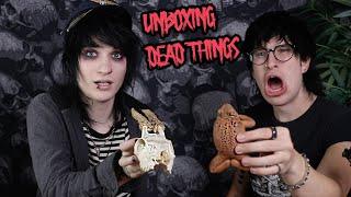 Unboxing $150 Worth Of Dead Things with Jake Webber