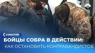 Спецоперация в Логиново: учения СОБРа против контрабанды