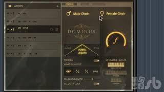 Fluffy Audio - Dominus Choir