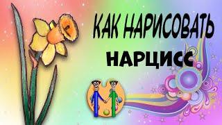 Как нарисовать нарцисс карандашом. Онлайн-школа рисования "Малевашки"