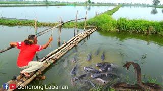 Rejeki Nomplok!!! ada ular pasti banyak ikan nya