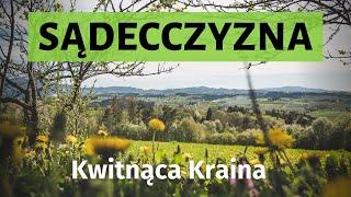 SĄDECCZYZNA wiosną  W krainie Lachów i kwitnących sadów [4K]