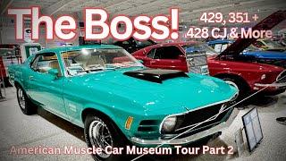 Boss 429, 351, Mach 1, Cobra R, Terminator, 428CJ, Best Stangs at the American Muscle Car Museum PT2