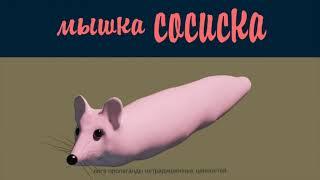 Мышка-сосиска оригинал 4К 60 FPS | Mouse sausage original 4K 60 FPS