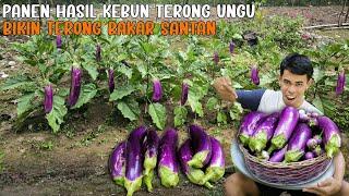 DI GUYUR HUJAN DERAS PANEN HASIL KEBUN TERONG UNGU LANGSUNG DI BUAT JADI TERONG BAKAR SANTAN