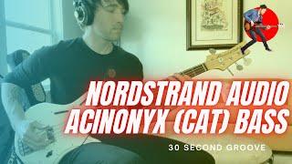 Nordstrand Audio // Acinonyx Bass (Cat Bass)