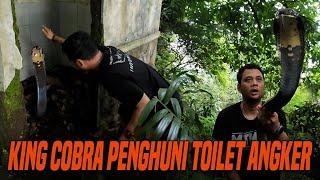 RESCUE KING COBRA PENGHUNI TOILET ANGKER DI LERENG GUNUNG SUNDA !!