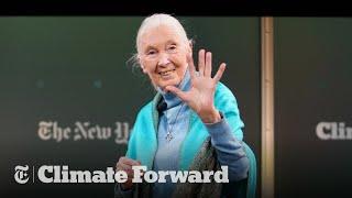 Dr. Jane Goodall | Lessons From a Lifetime Defending Nature