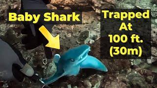 Rescuing A Baby Shark at 100ft (30m) | Unexpected Ending!
