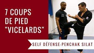 7 VICIOUS KICKS (PENCHAK SILAT - SELF DEFENCE)