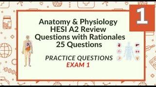 HESI A2 Anatomy and Physiology Practice Test 25 Questions Test 1