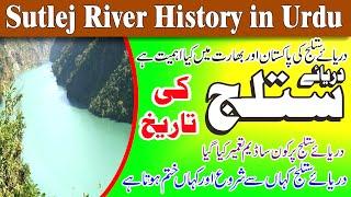 Sutlej River History in Urdu || Whats Importance Sutlej River in Pakistan || My Gulab River