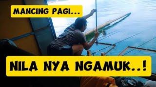 MANCING PAGI NILA NYA NGAMUK!# mancing Nila #mancing waduk Wadaslintang