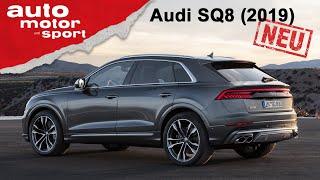 Audi SQ8 TDI (2019): Diesel-Frust trotz 900 Newtonmeter? – Review/Fahrbericht | auto motor und sport