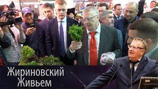 Владимир Жириновский посетил рынок в Туле