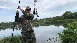 Крупные караси на бесплатнике! Рыбалка в Харьковской области на пруду в Ольховке в 11 км от Харькова