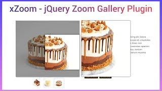 xZoom | jQuery Zoom Gallery Plugin add on Your Website