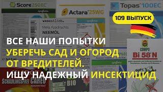 Дача в Германии.  Урожай будет наш! Боремся с вредителями всеми доступными средствами!