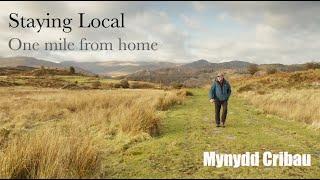 Staying Local - Mynydd Cribau