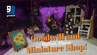 Shopping at Goodwill in Belfast, Maine and A Miniature Shop! - Shop Along With Me - Goodwill Thrift