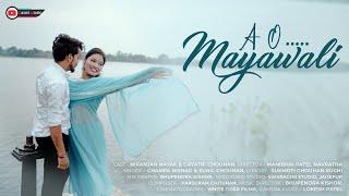 A O MAYAWALI | CHAMPA NISHAD CG SONG | SUNIL CHOUHAN | NIRANJAN NAYAK & GAYATRI CHOUHAN @jansimusic