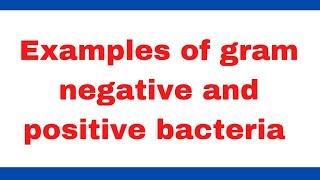 Examples of gram negative and gram positive bacteria