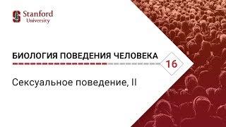 Биология поведения человека: Лекция #16. Сексуальное поведение, II [Роберт Сапольски. Стэнфорд]