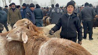 Tergachi Qõy bozori bugungi narhlar bilan tanishing 20.12.2024yil