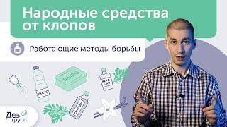 Лучшее народное средство против клопов ТОП 10 | Плюсы и минусы | Вывести клопов | Клопы в квартире