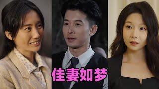 【MULTI SUB】《佳妻如梦》第1~62集 #短剧 #短劇 #启元推文 #热门短剧 #霸总 #狂婿 #重生 #女頻 #短剧全集 #短剧推荐 #爱情 #甜寵 #甜宠