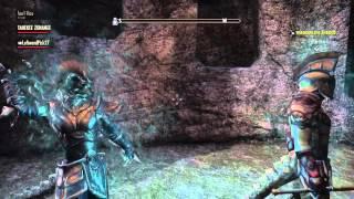 The Elder Scrolls Online | Put your sword away!