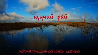 Рыбалка на щуку в глухом коряжнике. Супер приманка по пассивной щуке осенью.