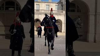 #lifeguards #horseguard #thebluesandroyals #kingslifeguard #kingsguard #royalguards #army #london