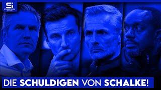 Manga? Aufsichtsrat? Trainer? Spieler? Vorstand? Wer trägt Schuld an Schalkes Krise? | S04 Analyse