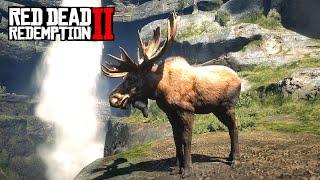 RDR2 - Добыл Западного ЛОСЯ