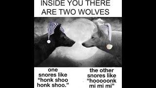 INSIDE YOU THERE ARE 2 WOLVES