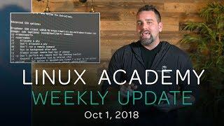 New Course and Developer Interview!