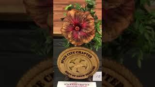 Space City Hibiscus Chapter Show 2 2019