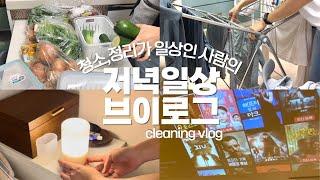 바쁘다 바빠 설거지, 청소, 빨래, 요리 🫧 | 청소 vlog