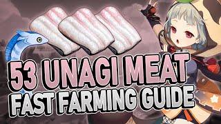 Unagi Meat 53 Locations FAST FARMING ROUTE | Genshin Impact 2.3