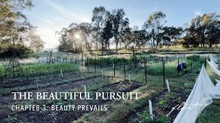 The Beautiful Pursuit | Chapter 3: Beauty Prevails