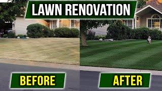 Renovate Your Lawn - Step by Step Process!!