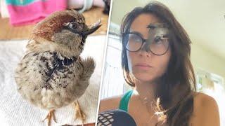 This rescued sparrow is convinced he's a dog