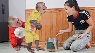Super funny Kuku confesses to stealing cake protects monkey Su to avoid being punished...