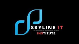 Skyline IT Institute Most Popular Online Live Freelancing Training  IT Institute.