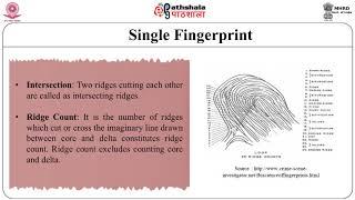 Dermatoglyphics